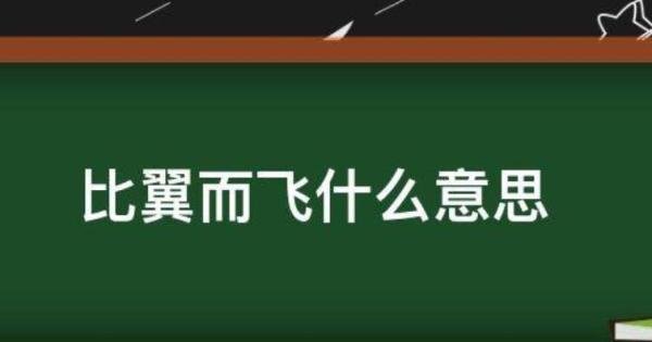 比翼而飞的意思是什么 比翼而飞这个成语的意思