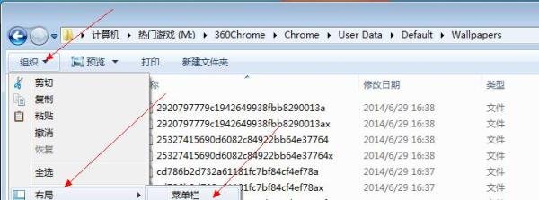 怎么下载360浏览器的皮肤图片