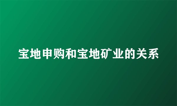 宝地申购和宝地矿业的关系