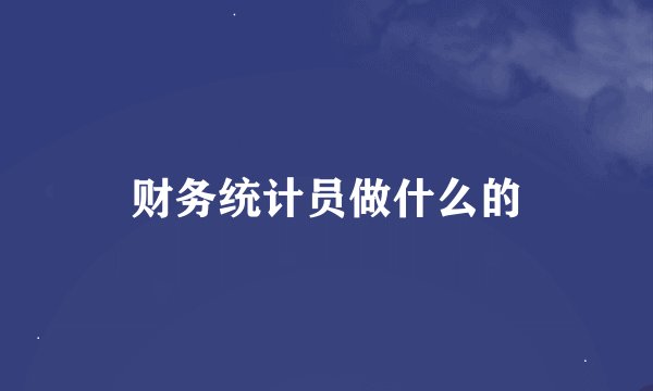 财务统计员做什么的