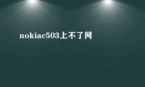 nokiac503上不了网