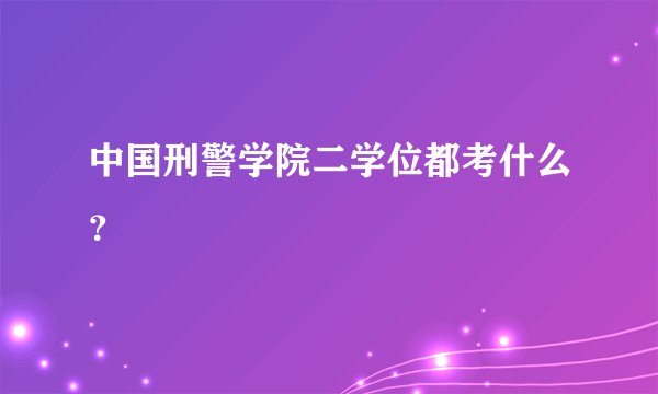 中国刑警学院二学位都考什么？