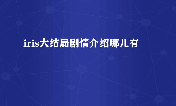 iris大结局剧情介绍哪儿有