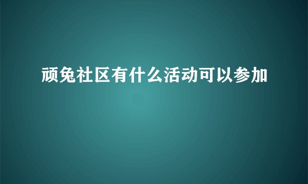 顽兔社区有什么活动可以参加