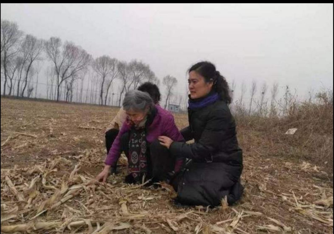 父亲坟前杀姐嫌犯落网,他的作案动机是什么