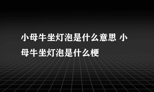 小母牛坐灯泡是什么意思 小母牛坐灯泡是什么梗