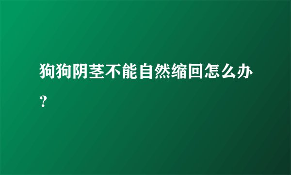 狗狗阴茎不能自然缩回怎么办？