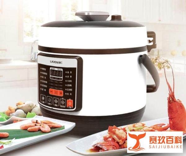 电压力锅哪个牌子好，什么牌子的电压力锅比较好