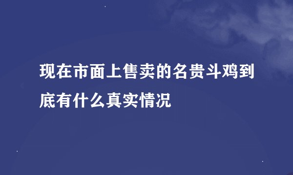 现在市面上售卖的名贵斗鸡到底有什么真实情况