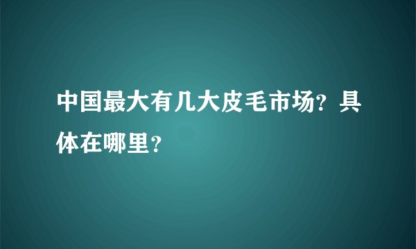 中国最大有几大皮毛市场?具体在哪里?