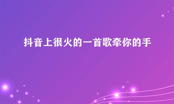 抖音上很火的一首歌牵你的手