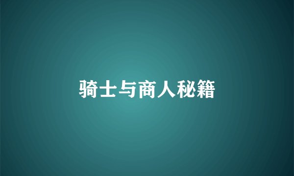 骑士与商人秘籍