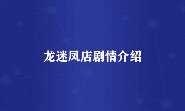 龙迷凤店剧情介绍