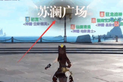 苏澜城的龟在哪里？