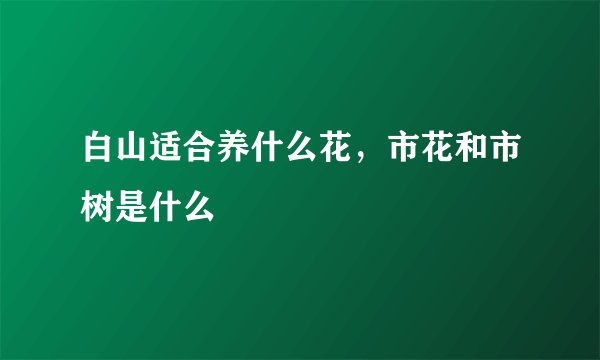 白山适合养什么花，市花和市树是什么