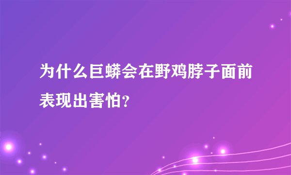 为什么巨蟒会在野鸡脖子面前表现出害怕？