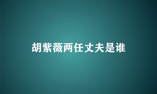 胡紫薇两任丈夫是谁