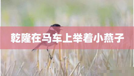 马车里的欢乐乾隆小燕子是谁演的