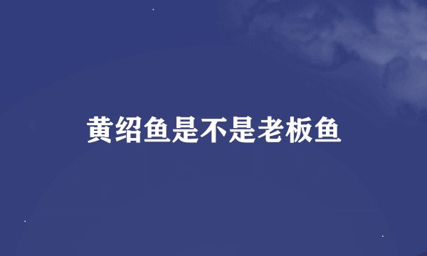 黄绍鱼是不是老板鱼