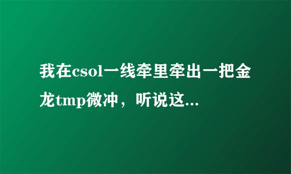 我在csol一线牵里牵出一把金龙tmp微冲，听说这把枪厉害，厉害在哪啊