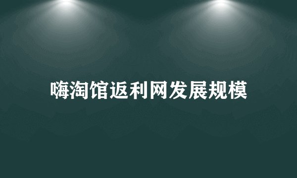嗨淘馆返利网发展规模