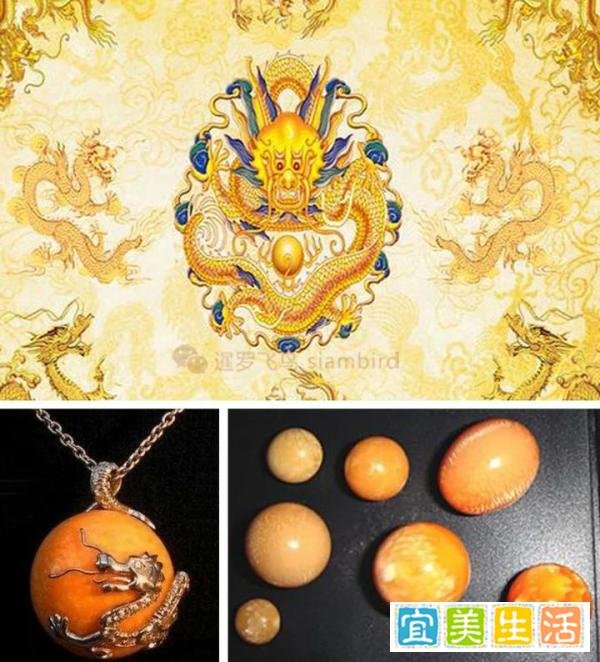 全球仅200颗的“龙珠”，泰国卡车司机又捡一颗，价值数千万