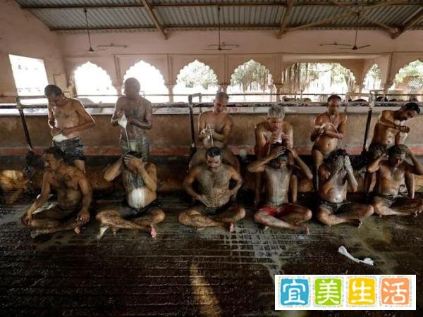 印度有一些人,在第2波自己遍身涂抹牛粪,用以防治新冠状病毒病