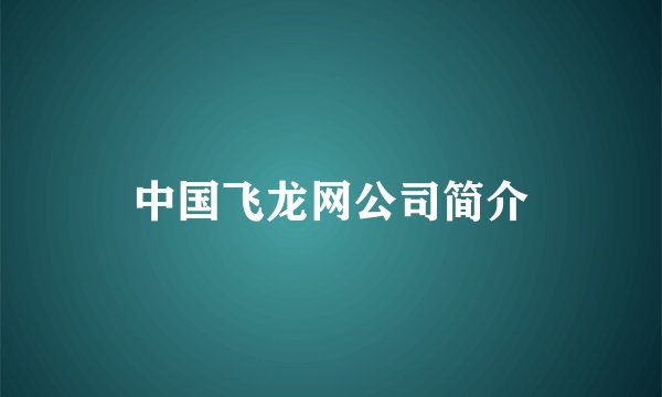 中国飞龙网公司简介