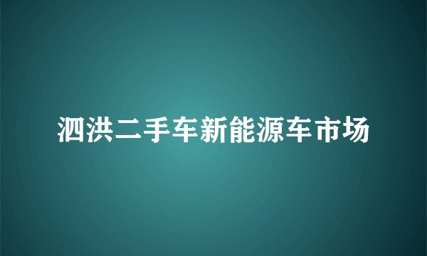 泗洪二手车新能源车市场