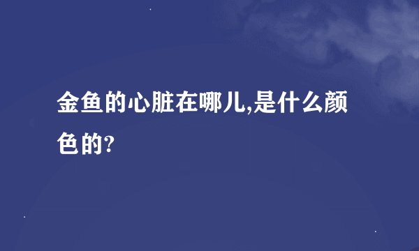 金鱼的心脏在哪儿,是什么颜色的?