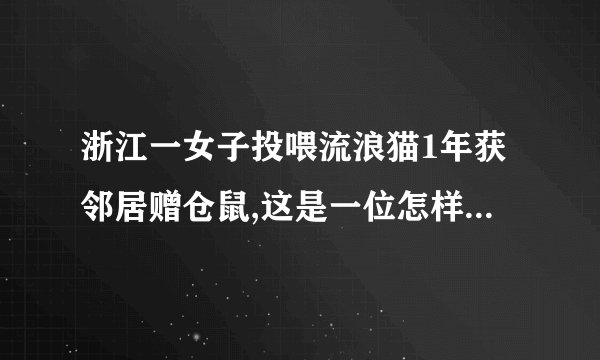 浙江一女子投喂流浪猫1年获邻居赠仓鼠,这是一位怎样的邻居?