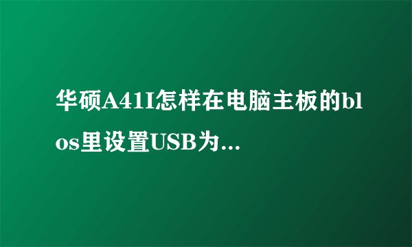华硕A41I怎样在电脑主板的blos里设置USB为第一启动项