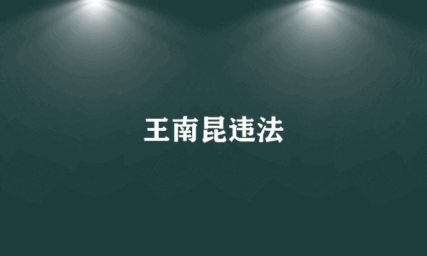 王南昆违法
