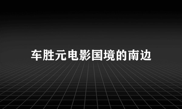 车胜元电影国境的南边