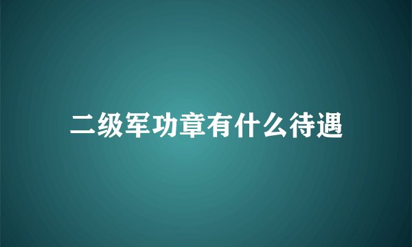 二级军功章有什么待遇
