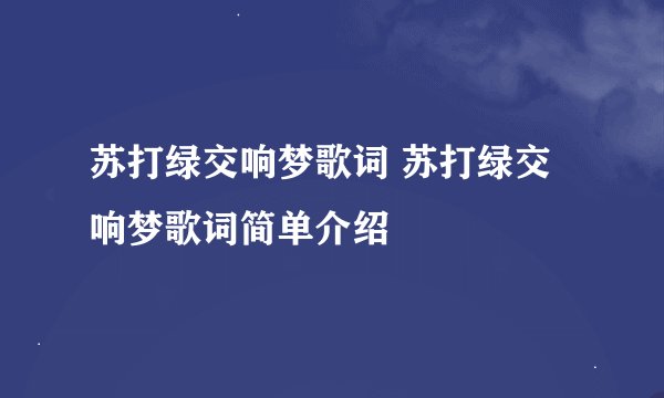 苏打绿交响梦歌词 苏打绿交响梦歌词简单介绍