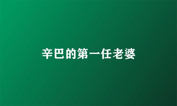 辛巴的第一任老婆