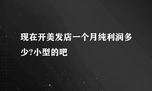 现在开美发店一个月纯利润多少?小型的吧