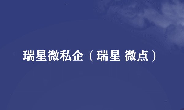 瑞星微私企（瑞星 微点）
