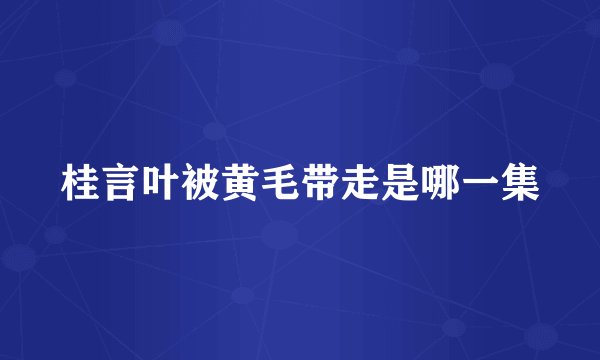桂言叶被黄毛带走是哪一集