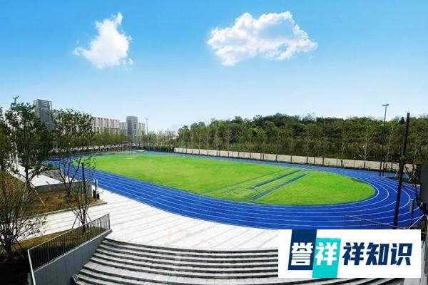 白岩松谈课间十分钟“鸦雀无声”,教育部:加强学校场地设施建设及安全保障