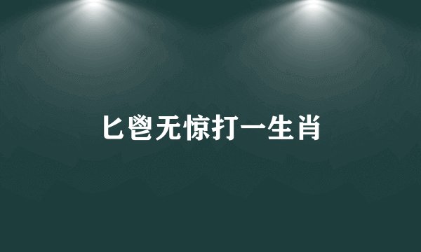 匕鬯无惊打一生肖