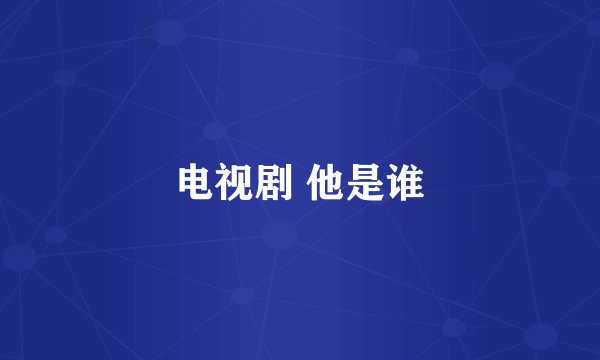电视剧 他是谁
