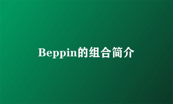Beppin的组合简介