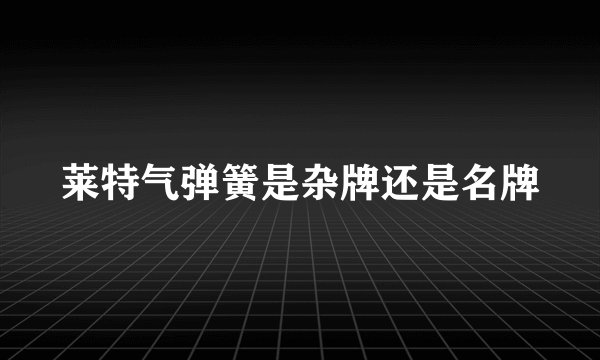 莱特气弹簧是杂牌还是名牌