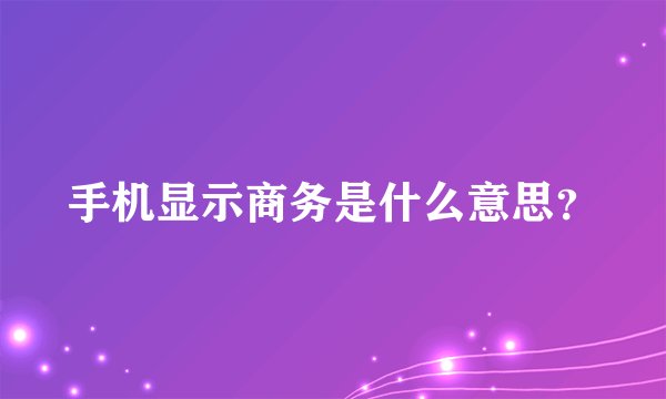 手机显示商务是什么意思？