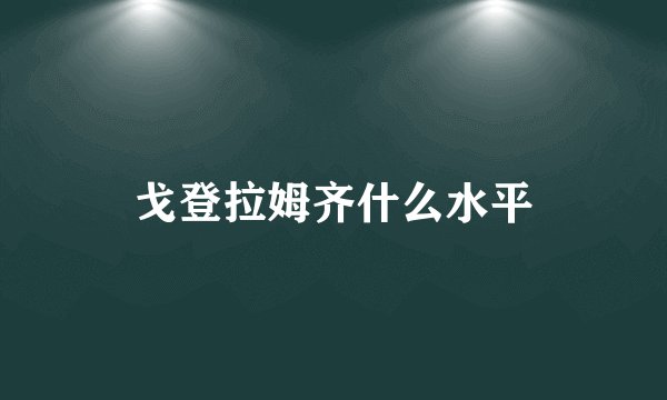 戈登拉姆齐什么水平