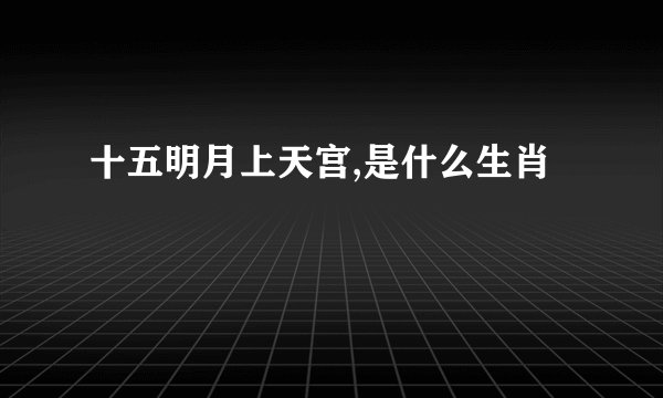 十五明月上天宫,是什么生肖