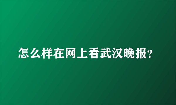 怎么样在网上看武汉晚报？
