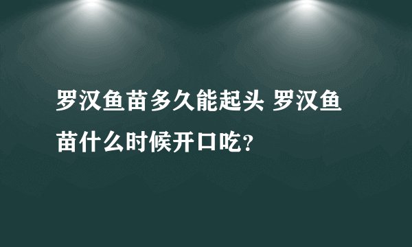 罗汉鱼苗多久能起头 罗汉鱼苗什么时候开口吃？